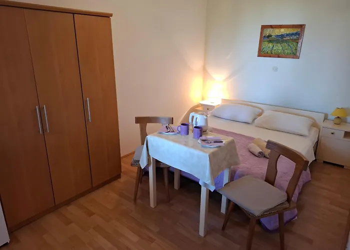 Πανσιόν Goga
