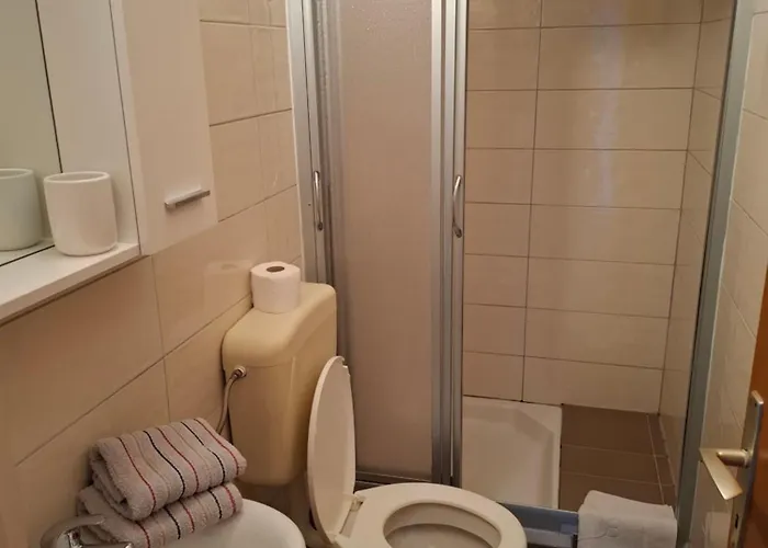 Pensiune Goga Banjol